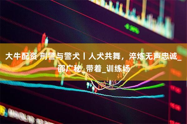 大牛配资 刑警与警犬丨人犬共舞，淬炼无声忠诚_邵广秘_带着_训练场