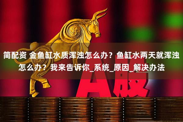 简配资 金鱼缸水质浑浊怎么办？鱼缸水两天就浑浊怎么办？我来告诉你_系统_原因_解决办法