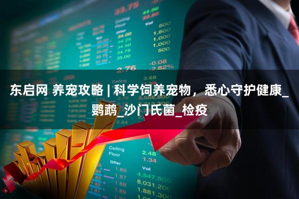 东启网 养宠攻略 | 科学饲养宠物，悉心守护健康_鹦鹉_沙门氏菌_检疫