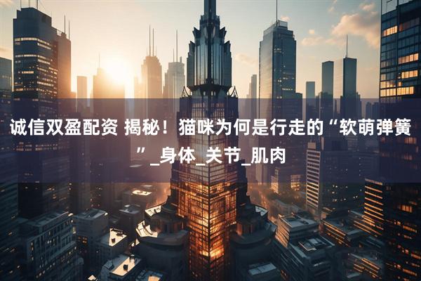 诚信双盈配资 揭秘！猫咪为何是行走的“软萌弹簧”_身体_关节_肌肉