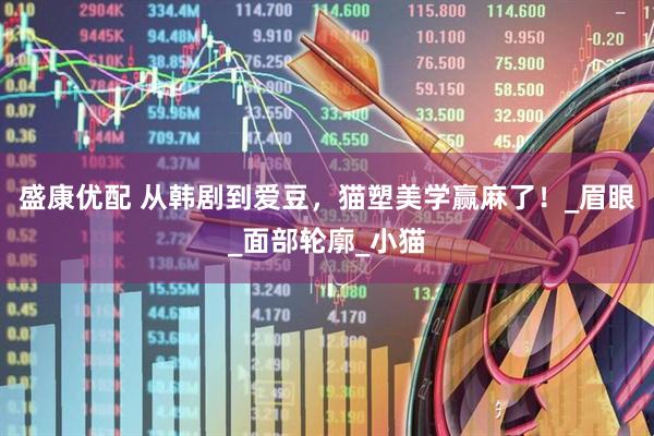盛康优配 从韩剧到爱豆，猫塑美学赢麻了！_眉眼_面部轮廓_小猫