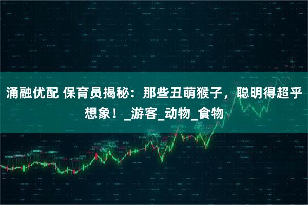 涌融优配 保育员揭秘：那些丑萌猴子，聪明得超乎想象！_游客_动物_食物