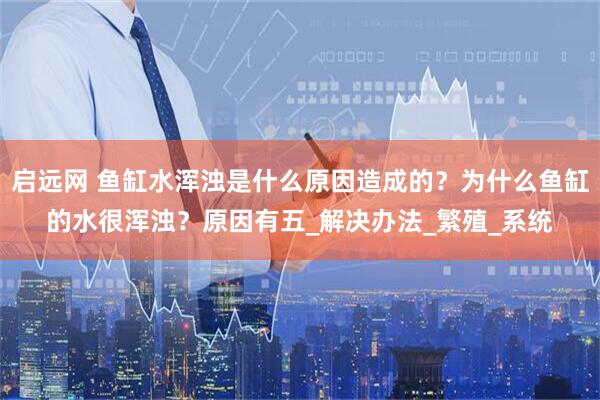 启远网 鱼缸水浑浊是什么原因造成的？为什么鱼缸的水很浑浊？原因有五_解决办法_繁殖_系统
