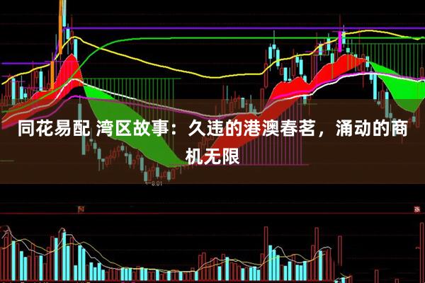 同花易配 湾区故事：久违的港澳春茗，涌动的商机无限