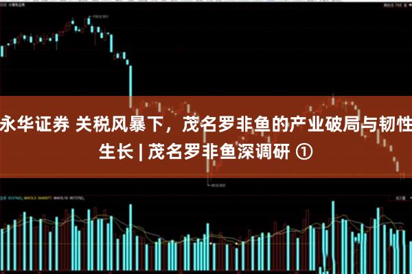 永华证券 关税风暴下，茂名罗非鱼的产业破局与韧性生长 | 茂名罗非鱼深调研 ①