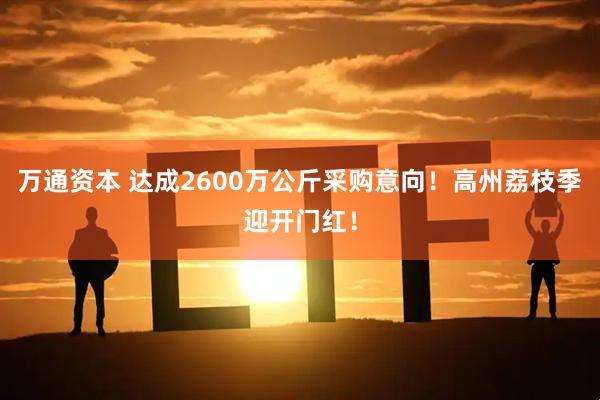万通资本 达成2600万公斤采购意向！高州荔枝季迎开门红！