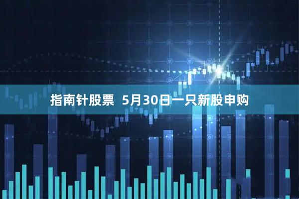 指南针股票  5月30日一只新股申购