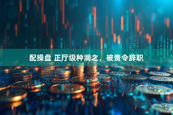 配操盘 正厅级种润之，被责令辞职