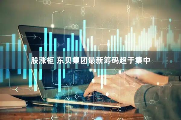 股涨柜 东贝集团最新筹码趋于集中