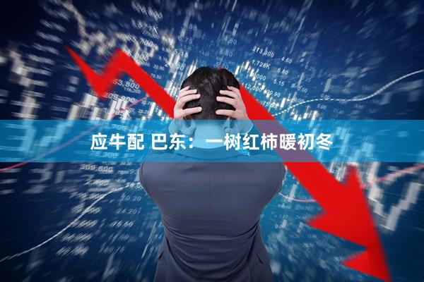 应牛配 巴东：一树红柿暖初冬